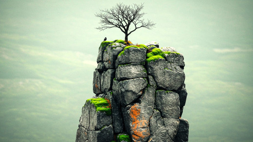 �1757184 �������(a): ����������:1920x1080